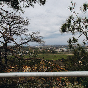 High Point lagoon view